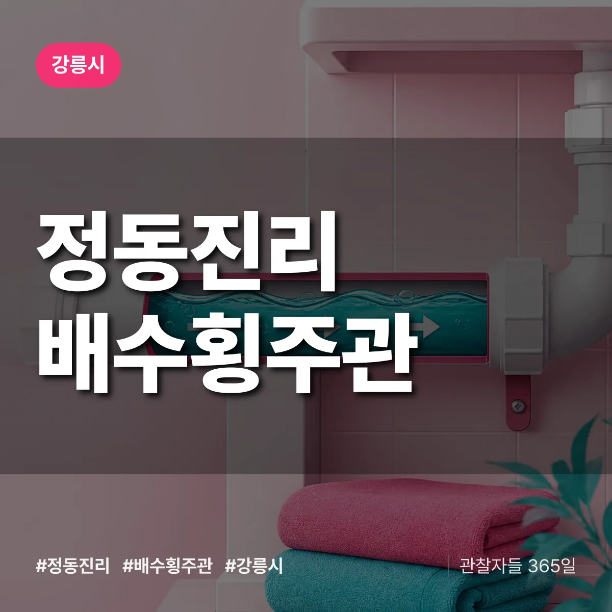 정동진리 배수횡주관 배너
