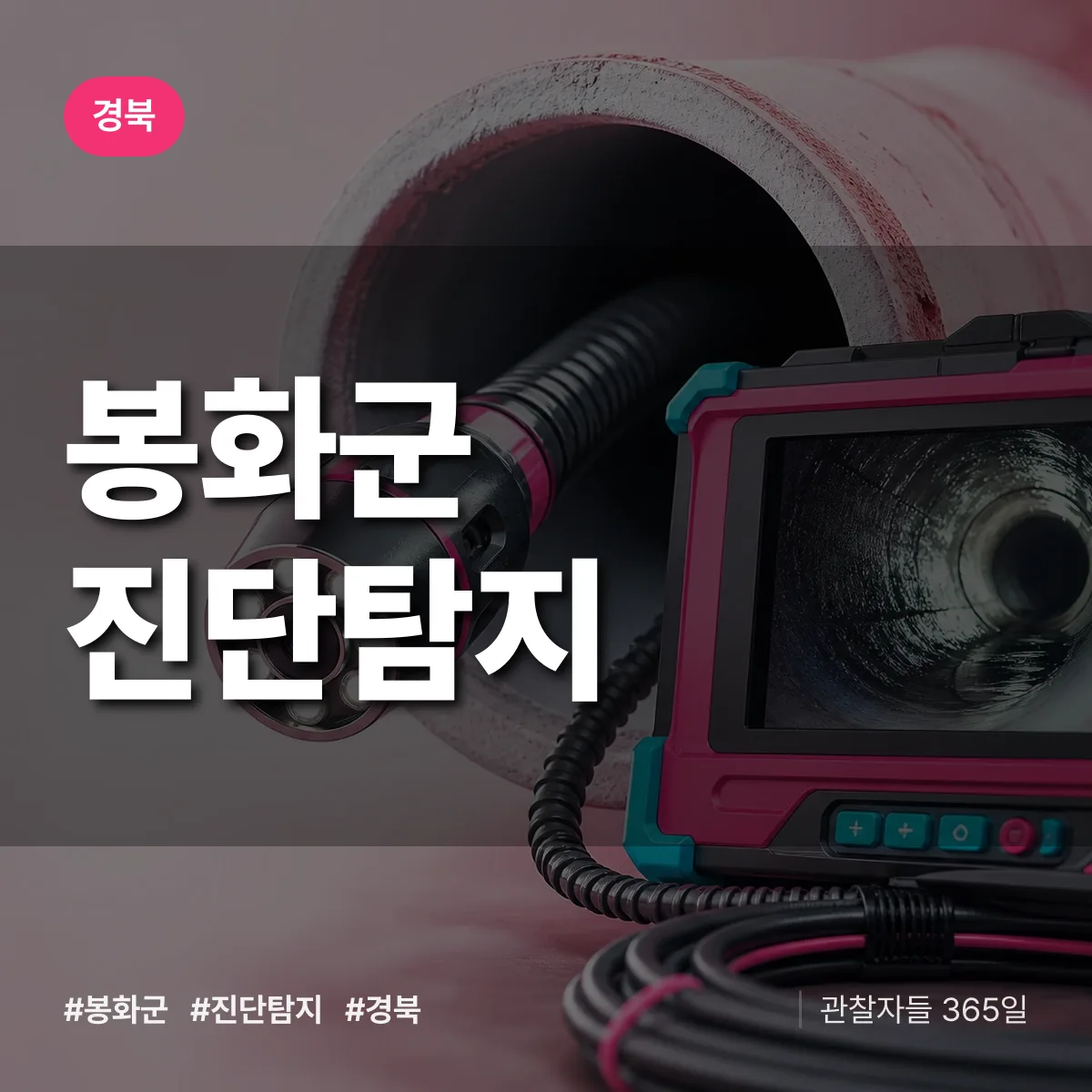 경북 봉화군 진단/탐지 상담 배너