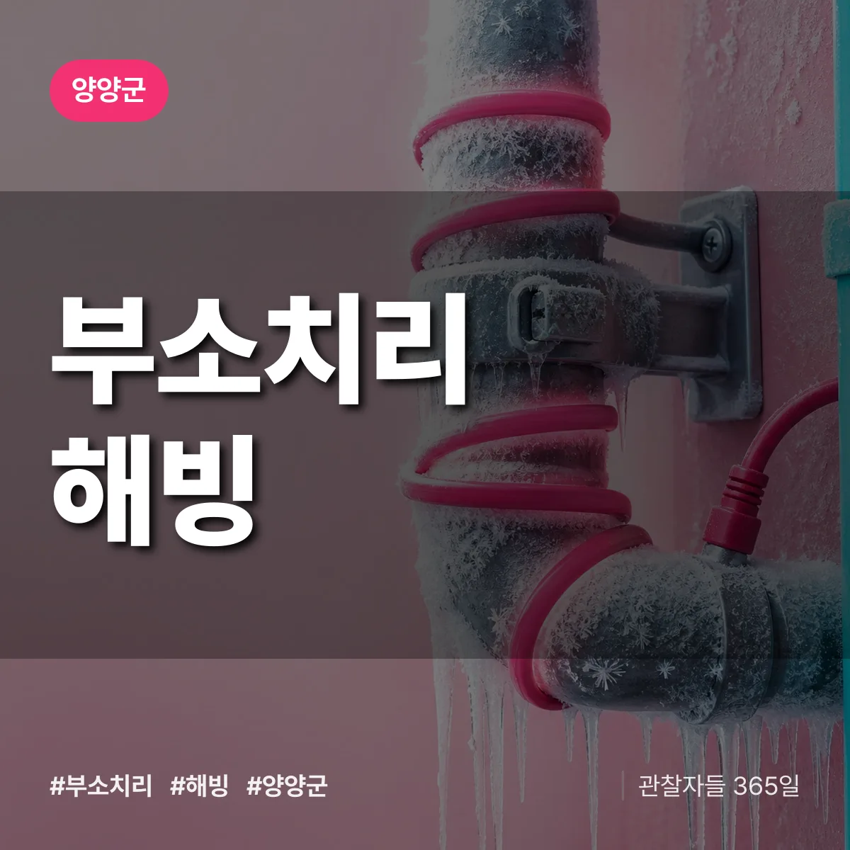 부소치리 해빙 배너
