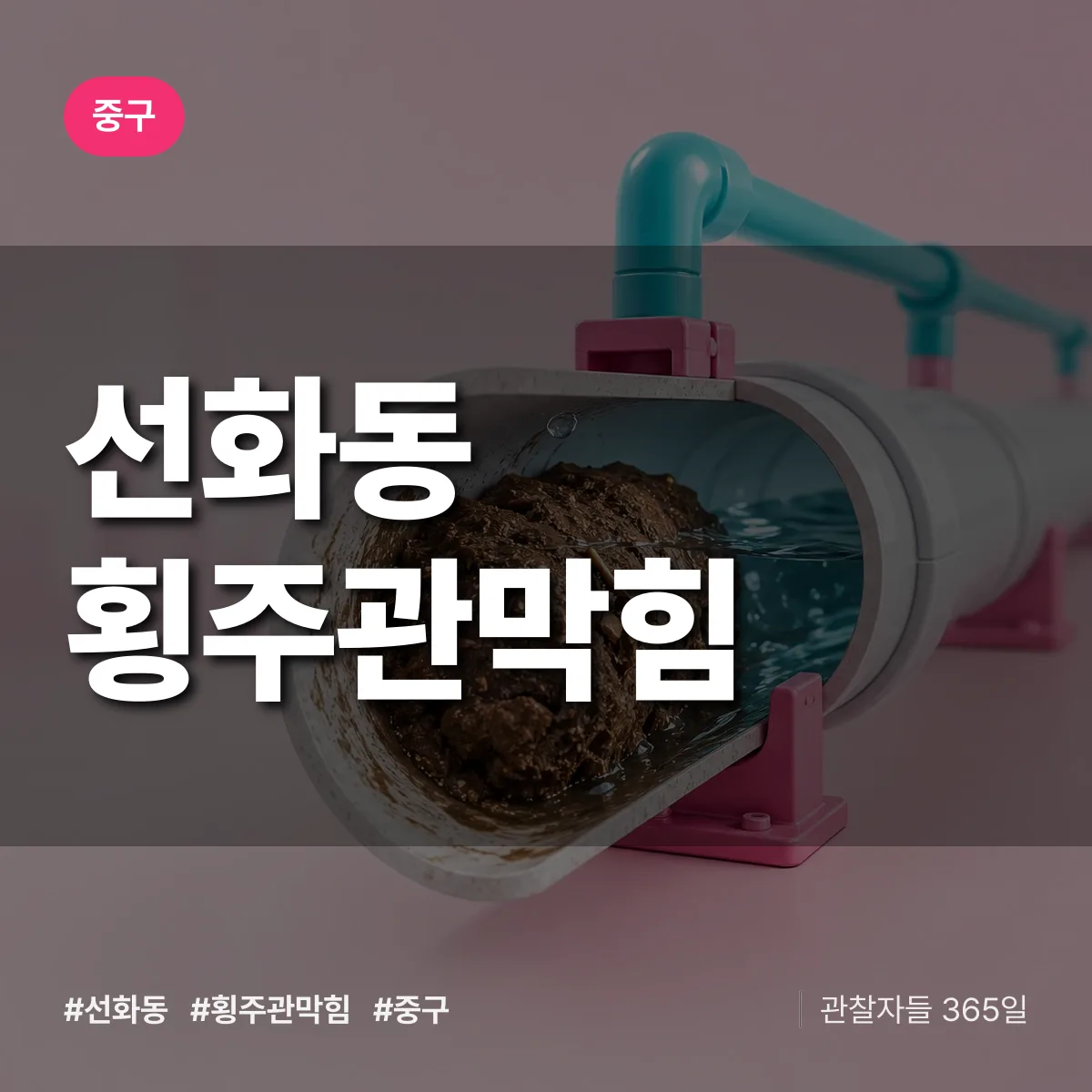 중구 선화동 횡주관막힘 상담 배너