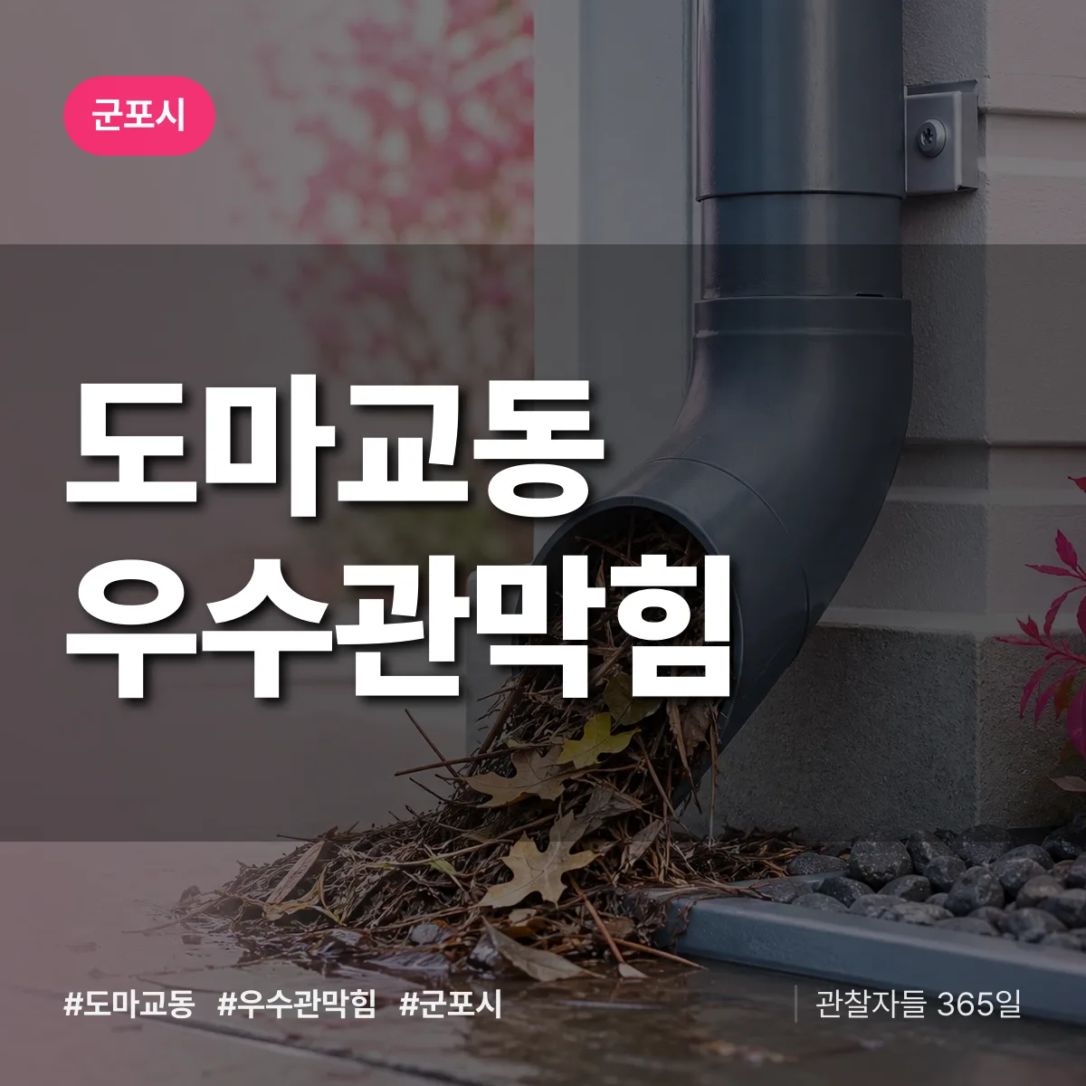 도마교동 우수관막힘 배너