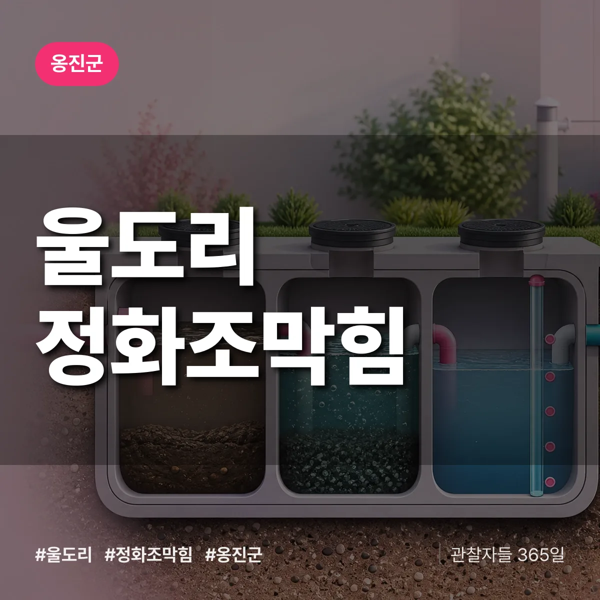 옹진군 울도리 정화조막힘 상담 배너