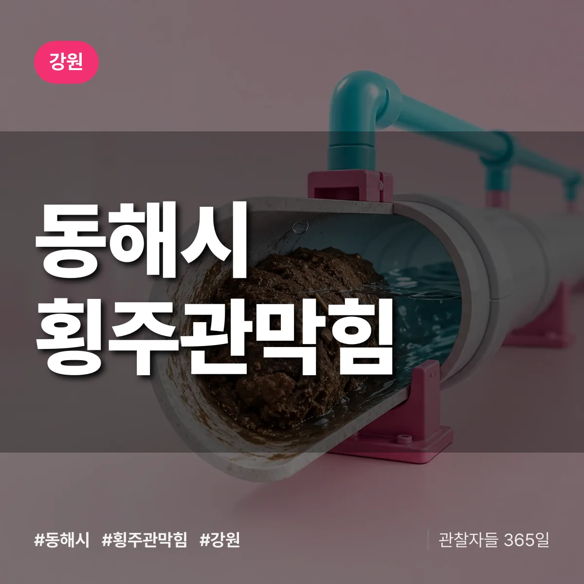 강원 동해시 횡주관막힘 배너