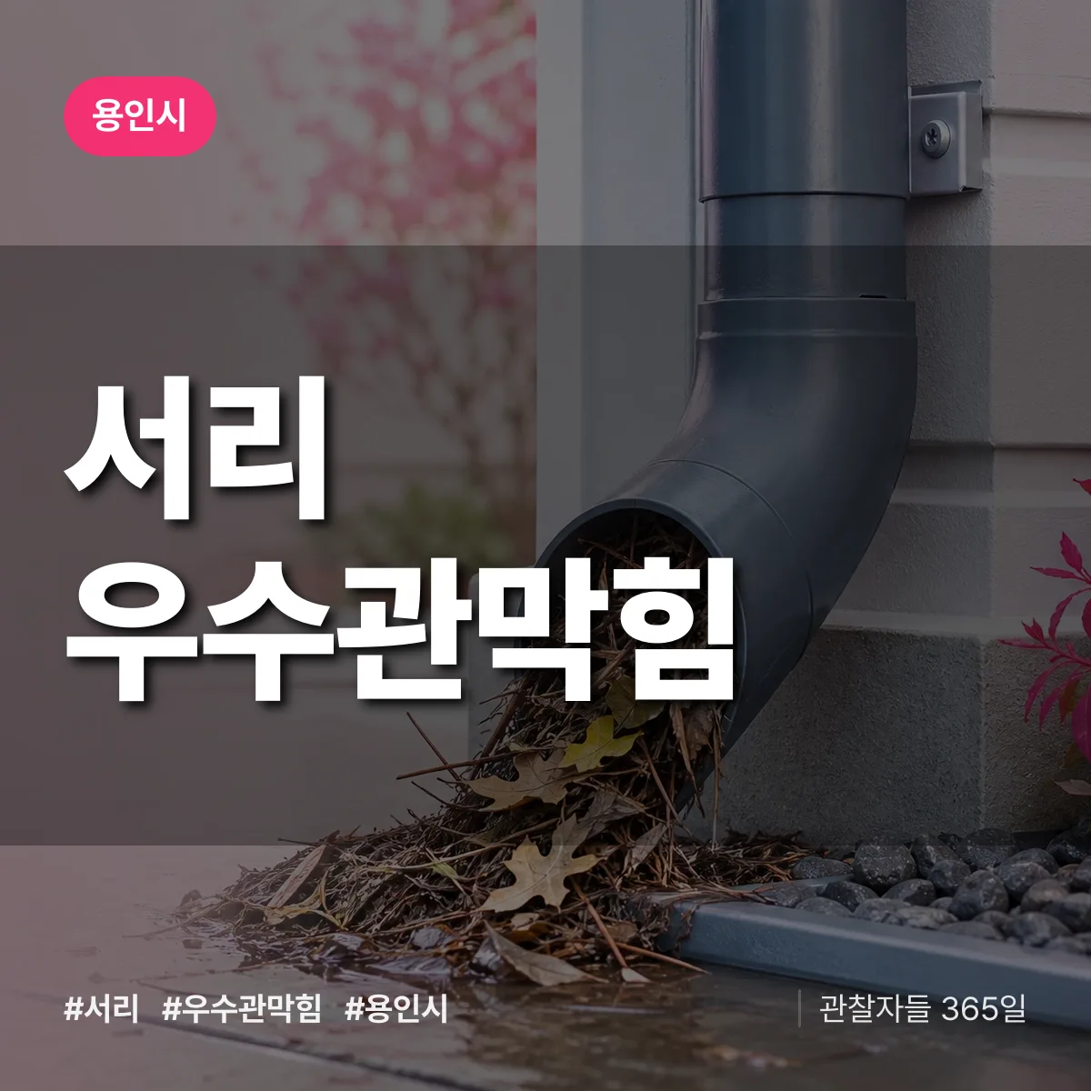 서리 우수관막힘 배너