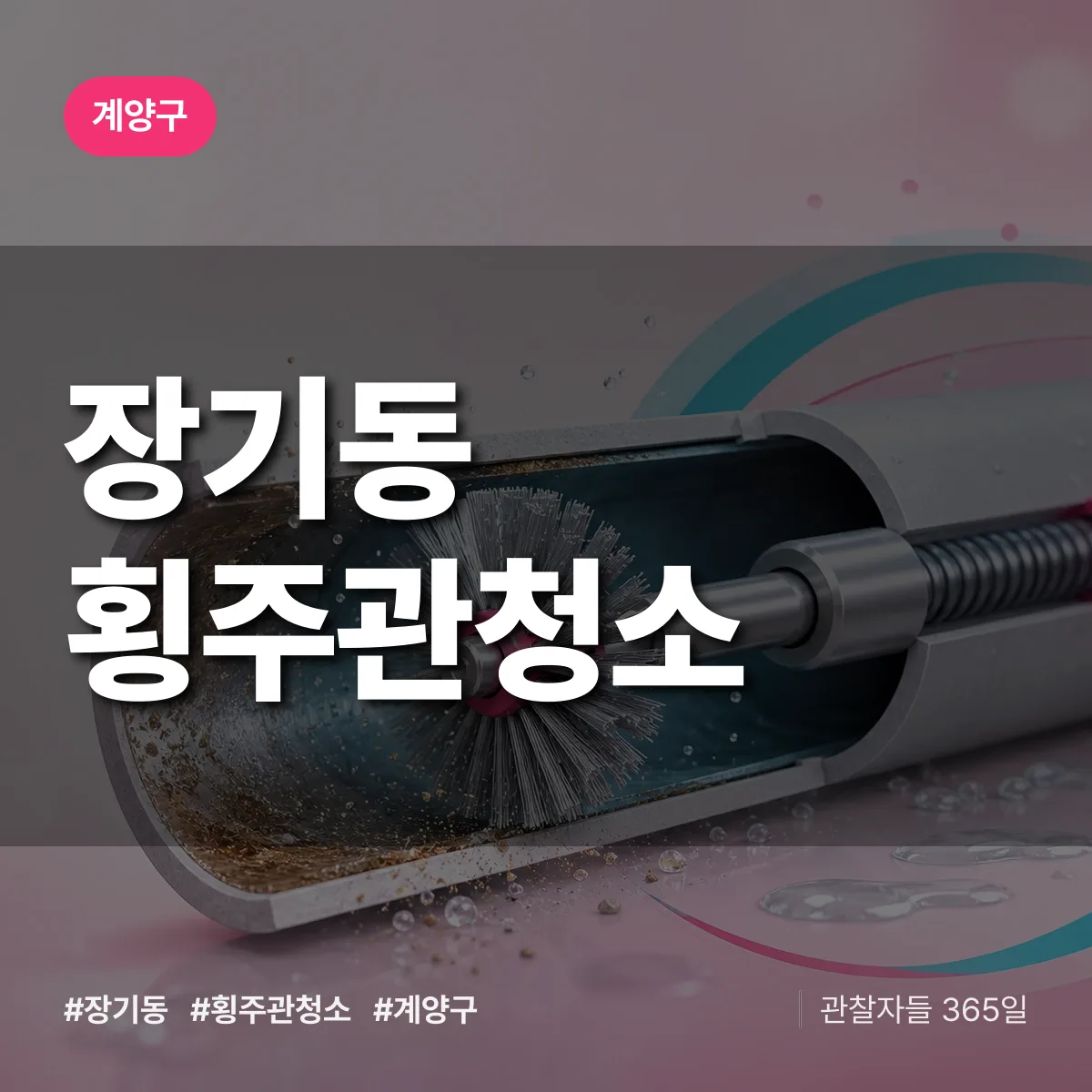 장기동 횡주관청소 배너