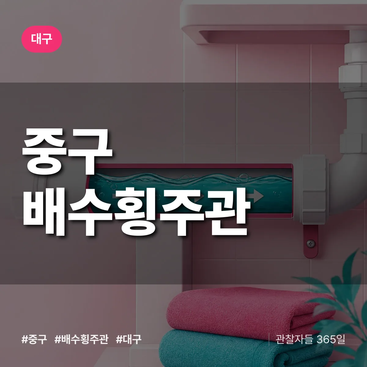 대구 중구 배수횡주관 상담 배너